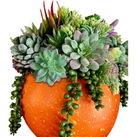 16 Pack Artificial Succulent Create Realistic Succulent Flocking Plants Unpotted - Picture 2 of 6